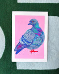 Art print Pigeon A5